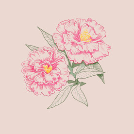 牡丹