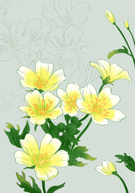 白池花