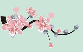 桃花