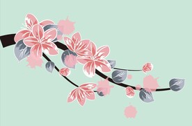 桃花 