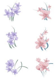 兰花
