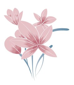 兰花