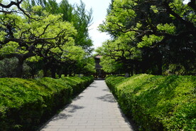 公园风景  