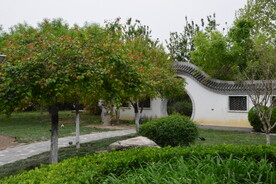 公园风景