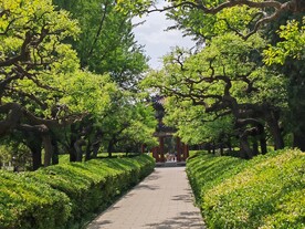 公园风景 
