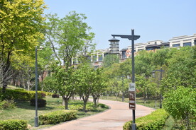 树木