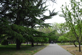 公园风景  
