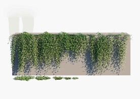  C4D模型 绿色植物 