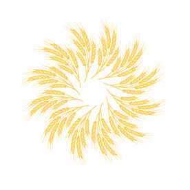 麦穗插画  