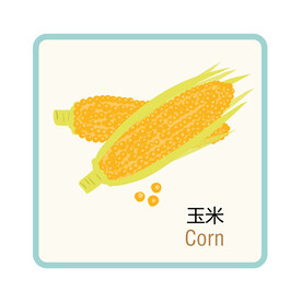 玉米