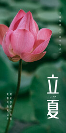 立夏