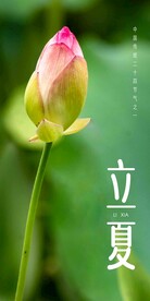 立夏