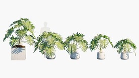 C4D模型 绿色植物  