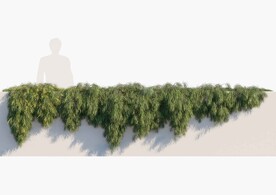 C4D模型 绿色植物  