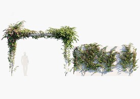C4D模型 绿色植物  