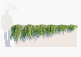 C4D模型 绿色植物  