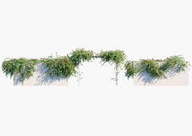 C4D模型 绿色植物 