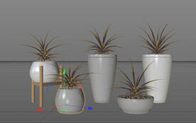  C4D模型 绿色植物  