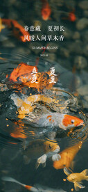 立夏夏至节气海报