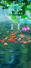 立夏夏至节气海报