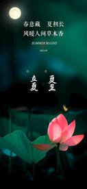 立夏夏至节气海报