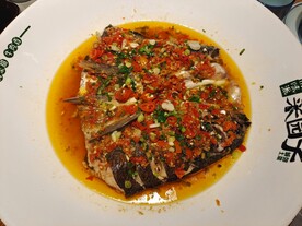 水库鱼头