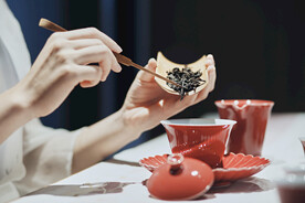 饮茶与养生