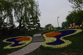公园风景  