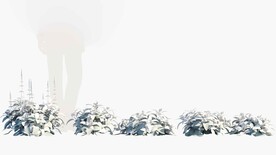 C4D模型 绿色植物  