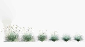C4D模型 绿色植物  