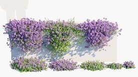 C4D模型 绿色植物 