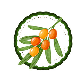 沙棘