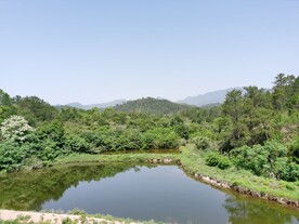 蓝天白云 森林
