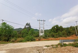 山地森林