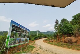 山地森林 山林