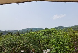 自然森林风光