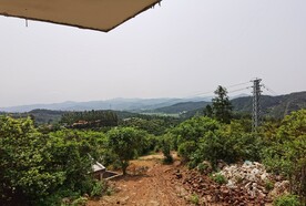 山地自然森林