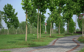 公园风景