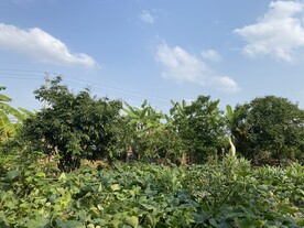 乡村风景
