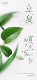 立夏节气海报