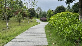石头路