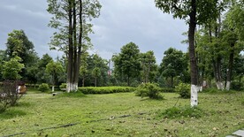 公园风景