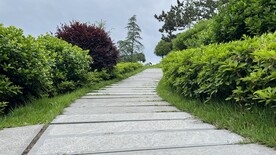 石头路