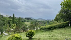 公园风景