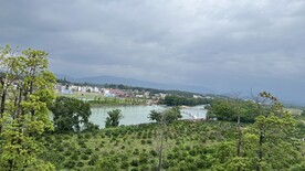 乡村景色