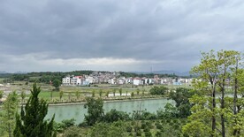乡村景色