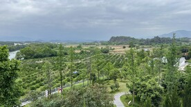 春天小景