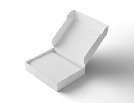 翻盖包装盒样机