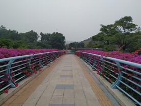天桥和花