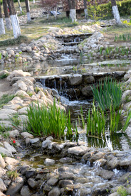 公园溪水风景    